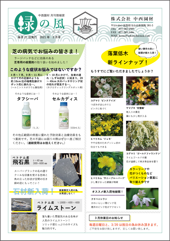 緑の風3月号