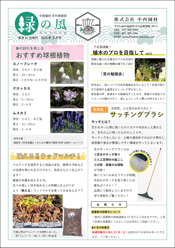 緑の風3月号