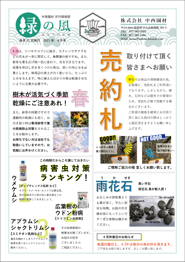 緑の風4月号