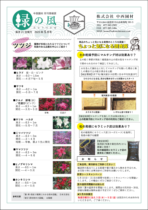 緑の風5月号