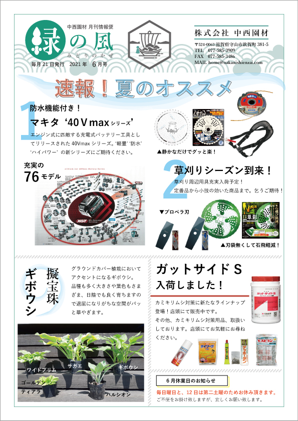 緑の風6月号