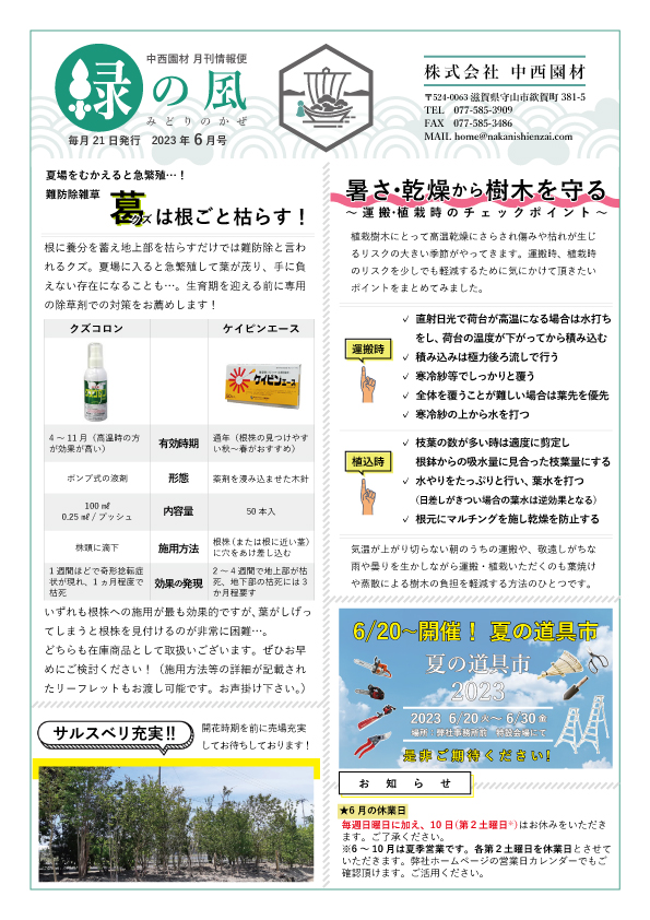 緑の風6月号