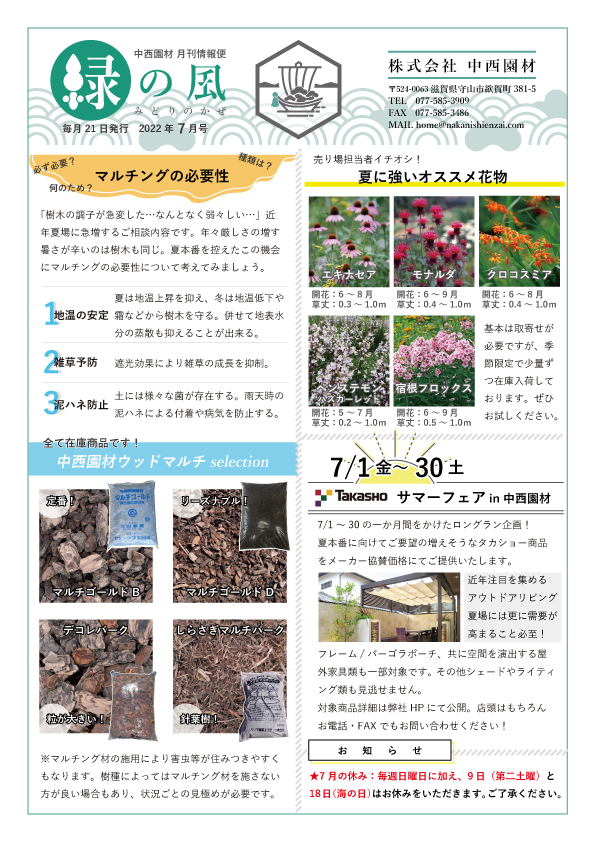 緑の風7月号